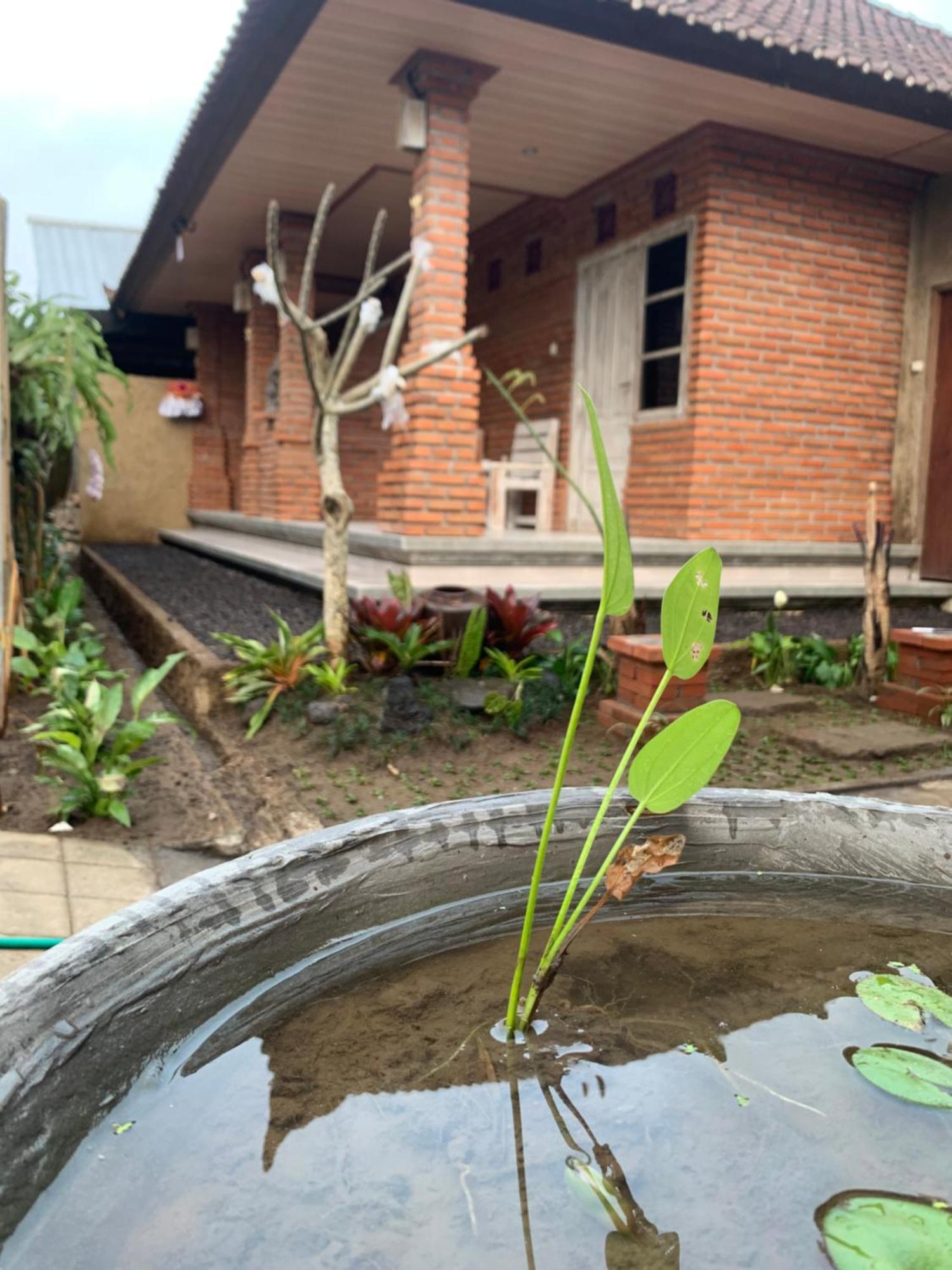 Ambara Guest House Tampaksiring Экстерьер фото